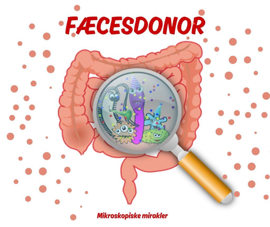 Illustration af tarm med lup, der viser bakterier – kampagne for fæcesdonor i Odense.